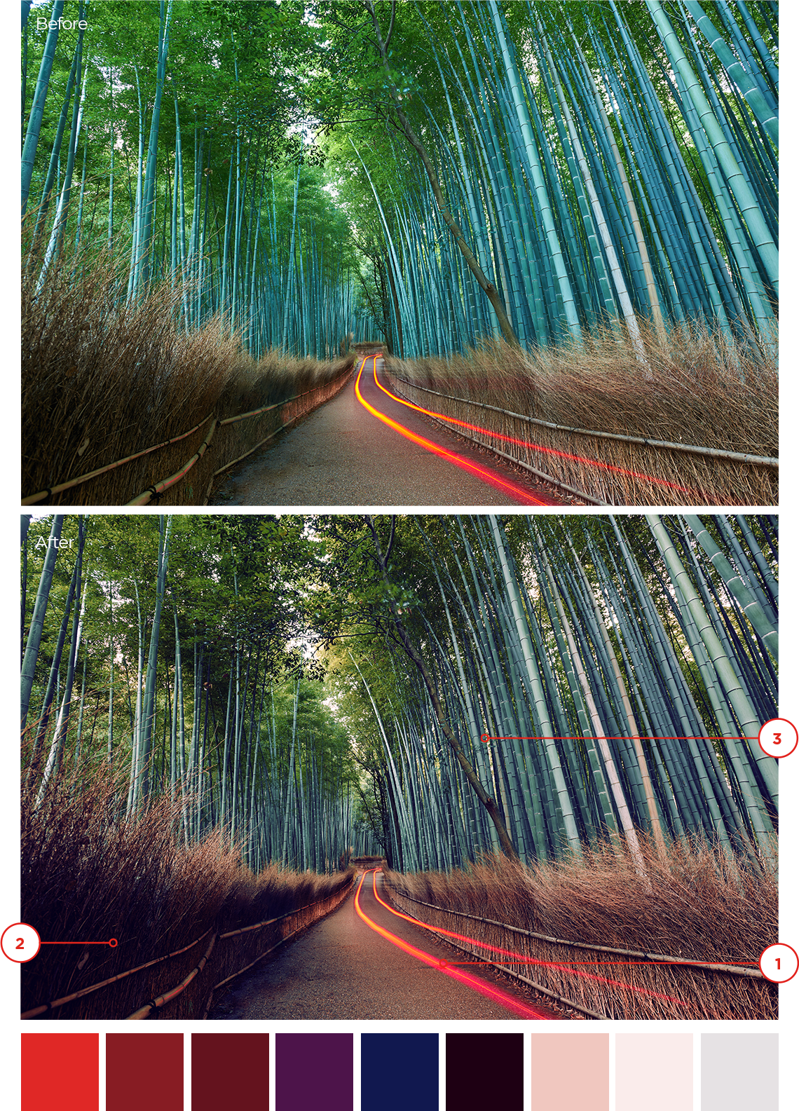 A red light path down the center of trees and brush. The brush has warmer hues and the trees add balance