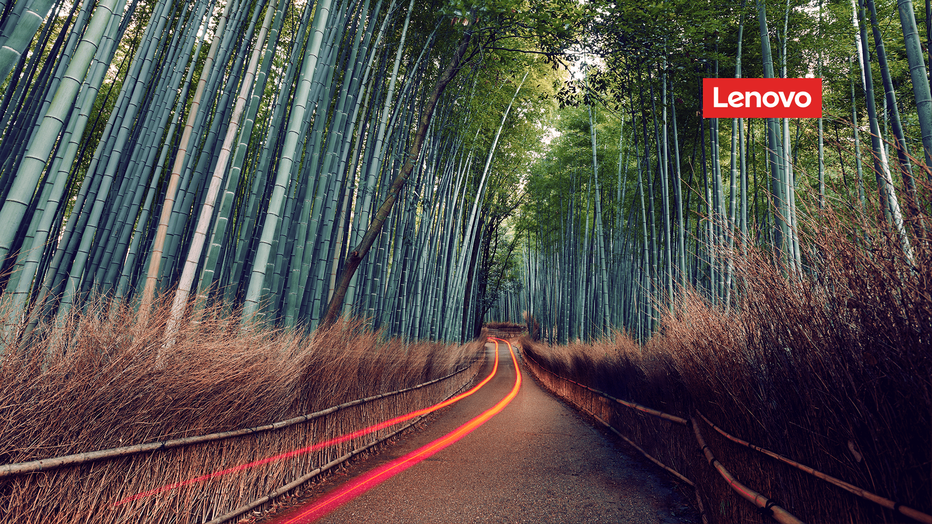 Bamboo forest brand image with the Lenovo logo in the upper right corner.